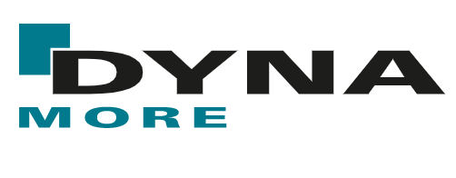DYNA_MORE_LS_DYNA_Forum 2022